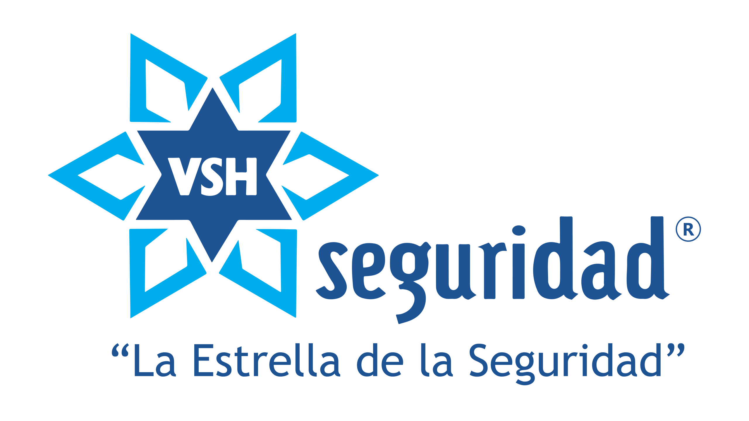 VSH_LOGO